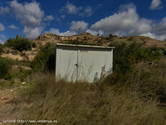 OPORTUNIDAD FINCA RUSTICA DE REGADIO CON CONSTRUCCIONES A REHABILITAR EN VINEBRE - TARRAGONA