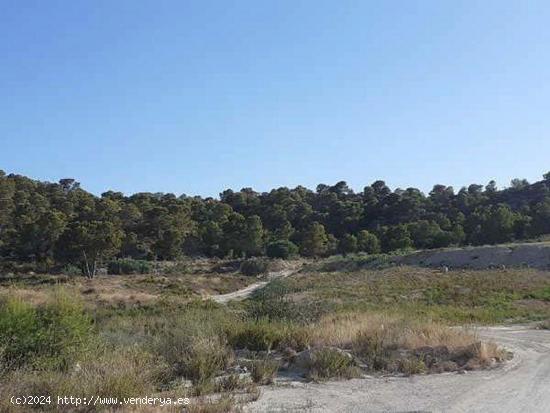 Espectacular terreno en Finestrat - ALICANTE