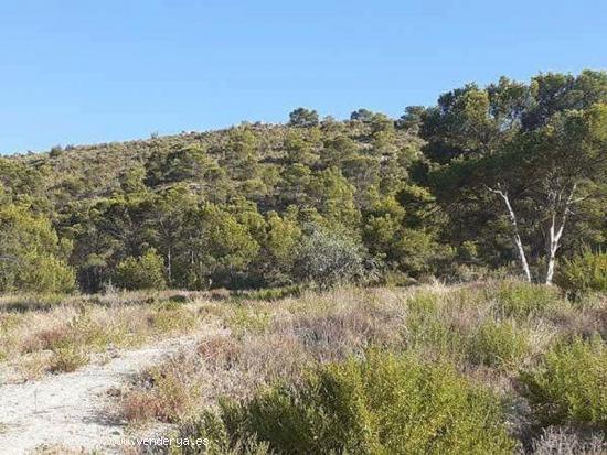 Espectacular terreno en Finestrat - ALICANTE