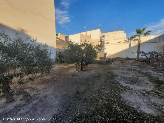 Vivir en el centro de Novelda como en el campo - ALICANTE