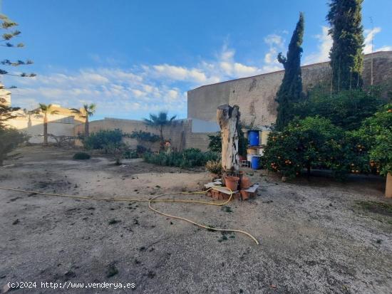 Vivir en el centro de Novelda como en el campo - ALICANTE