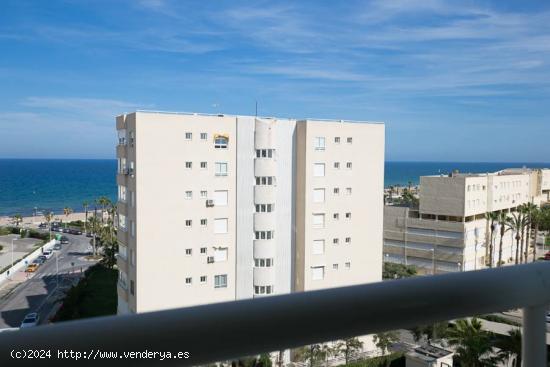 A LA ALTURA DE LOS PÁJAROS - ALICANTE