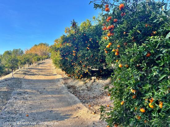 ¡Bienvenido al paraíso rural en Barxeta, Valencia! - VALENCIA