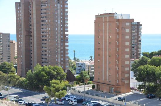  Se Vende en Benidorm - ALICANTE 