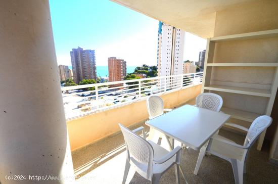 Se Vende en Benidorm - ALICANTE