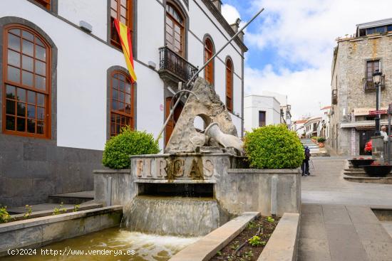 ESTUPENDA VIVIENDA EN EL CENTRO DE FIRGAS. - LAS PALMAS