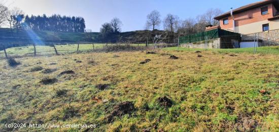 Casa y terreno de 3.000 m2. - CANTABRIA