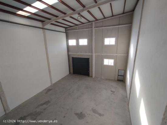 POLIGONO INDUSTRIAL CREVILLENTE - NAVE 481 M2 - ALICANTE