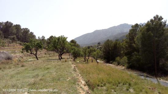 terreno urbanizable con luz y agua - ALICANTE