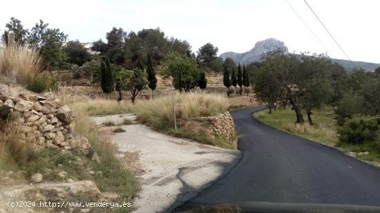 terreno urbanizable con luz y agua - ALICANTE