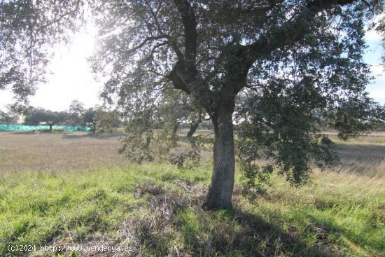 Se Vende en Badajoz - BADAJOZ