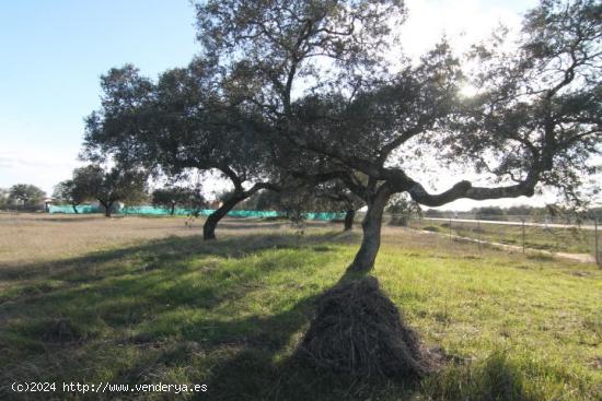 Se Vende en Badajoz - BADAJOZ