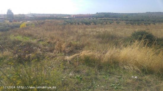 SUELO URBANIZABLE EN CABANILLAS DEL CAMPO, GUADALAJARA - GUADALAJARA