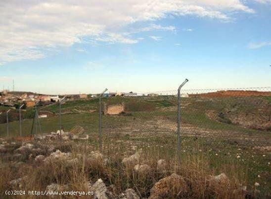 TERRENO  EN FUENTELENCINA, GUADALAJARA - GUADALAJARA