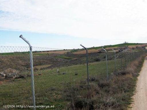 TERRENO  EN FUENTELENCINA, GUADALAJARA - GUADALAJARA