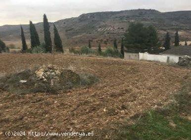 TERRENO URBANO EN LORANCA DE TAJUÑA, GUADALAJARA - GUADALAJARA