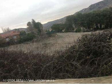 TERRENO URBANO EN LORANCA DE TAJUÑA, GUADALAJARA - GUADALAJARA