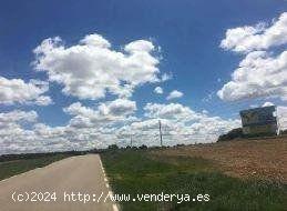 TERRENO URBANO EN LORANCA DE TAJUÑA, GUADALAJARA - GUADALAJARA