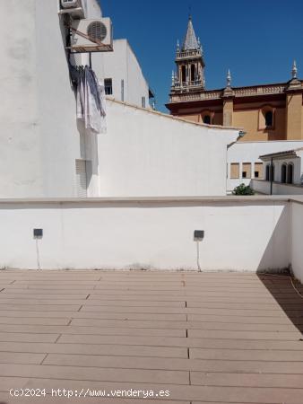 Iglesia Santa Ana Nuevo Piso con Plaza De Garaje y Terraza. - SEVILLA