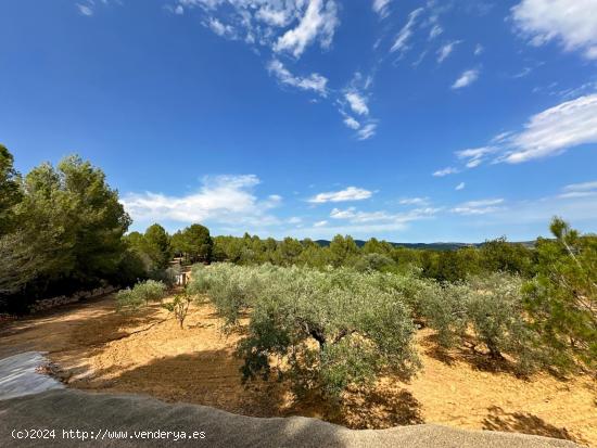 QUIERES VIVIR EN UNA ENCANTADORA CASA EN PLENA NATURALEZA? - CASTELLON