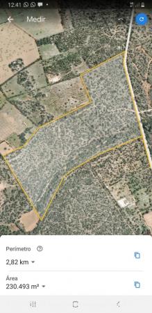 Venta de finca 230.000 m2 - 292m2 edificables - Llucmajor - BALEARES