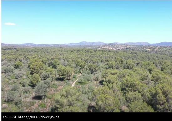 ¡Atención! Terreno edificable en Cala Romántica - BALEARES