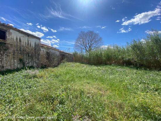 Estupenda finca para rehabilitar a menos de 1km de Tortosa - TARRAGONA