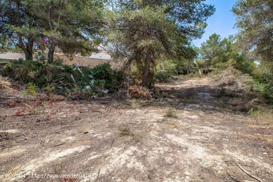 En Venta: Parcela de 850 m² en el Hermoso Benimeit, Moraira - ALICANTE