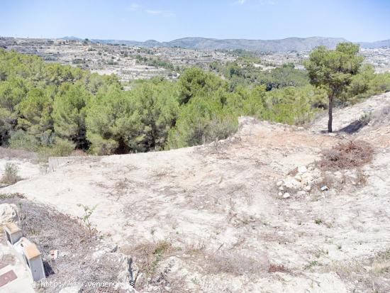 Exquisito Terreno en Benimeit Moraira - ALICANTE