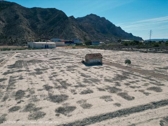 TERRENO CON MÁS DE 27.000M2 EN ORIHUELA- PÓLIGONO REDOVÁN. - ALICANTE