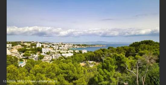  Gran piso en venta en bendinat con vistas al mar - BALEARES 