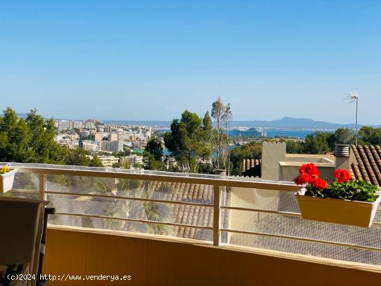 Gran piso en venta en bendinat con vistas al mar - BALEARES