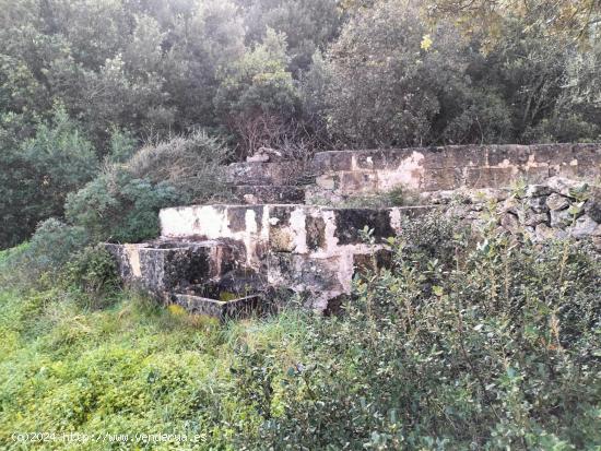 TERRENOS RÚSTICOS EN ZONA DES PLANS - BALEARES