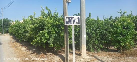 PARCELA URBANA EN RINCON DE SECA - MURCIA