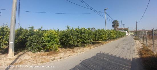 PARCELA URBANA EN RINCON DE SECA - MURCIA