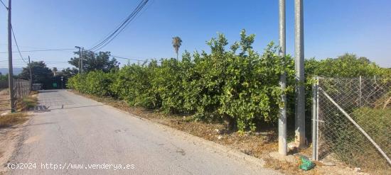 PARCELA URBANA EN RINCON DE SECA - MURCIA