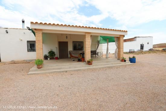 terreno de 2 hectareas con olivos y chalet - CIUDAD REAL