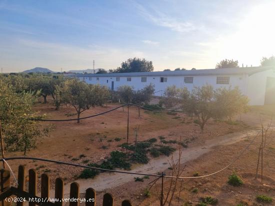 FINCA RUSTICA EN VENTA - TARRAGONA