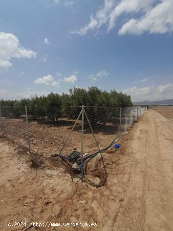  PARCELA EN AGUADERAS - VALLADA - MURCIA 