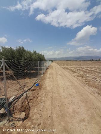 PARCELA EN AGUADERAS - VALLADA - MURCIA