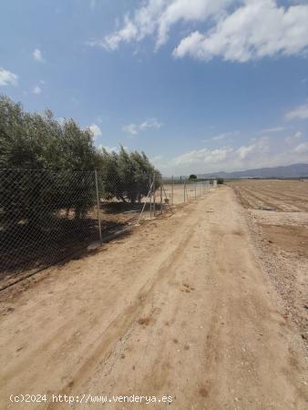 PARCELA EN AGUADERAS - VALLADA - MURCIA