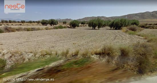 VENTA FINCA RUSTICA EN RIO - MURCIA