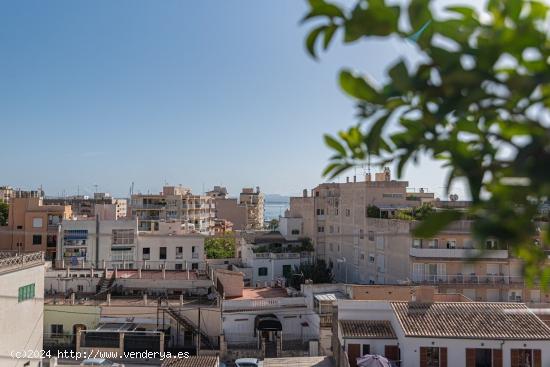 PLANTA BAJA EN EL TERRENO ( EXCLUSIVA) - BALEARES