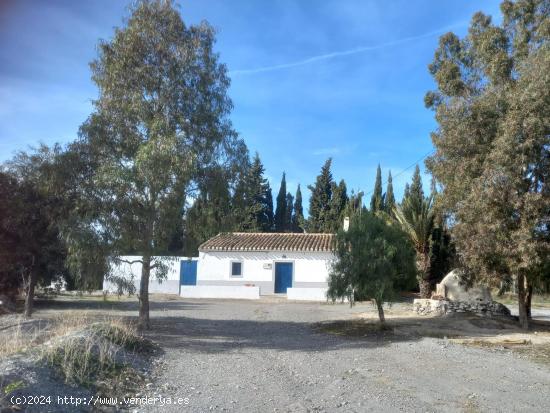 Casa de Campo con tres dormitorios en el Esparragal de Puerto Lumbreras - MURCIA