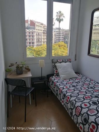 Acogedora habitación en alquiler en Eixample - BARCELONA