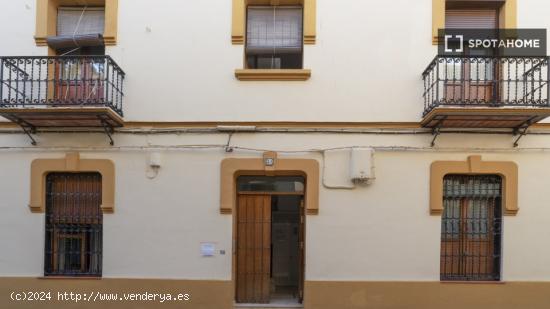 Estudio en Sevilla - SEVILLA