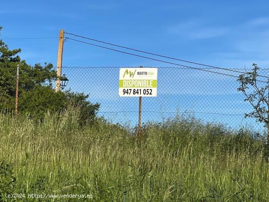 TERRENO EN MODÚBAR - BURGOS