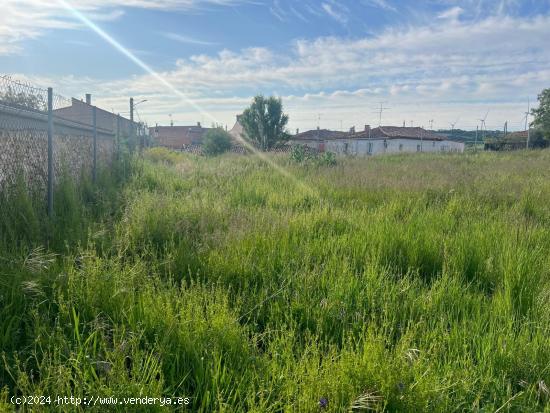 TERRENO EN MODÚBAR - BURGOS