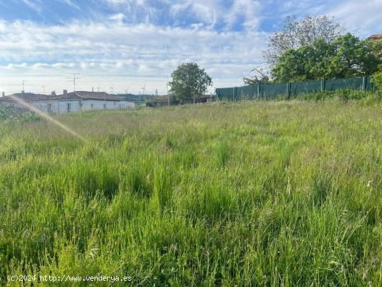 TERRENO EN MODÚBAR - BURGOS