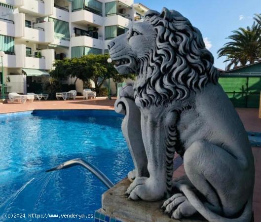 Venta de Apartamento en Sonneland. - LAS PALMAS